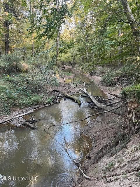 Great Hunting Tract in Bolton, MS for Sale