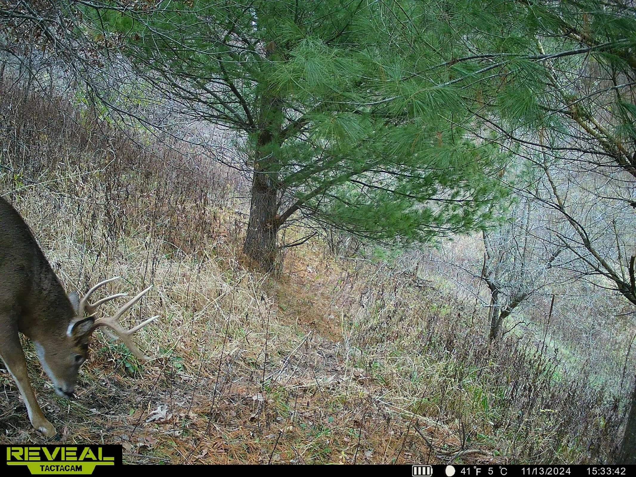 Monroe County Hunting Property 44+/- Acres