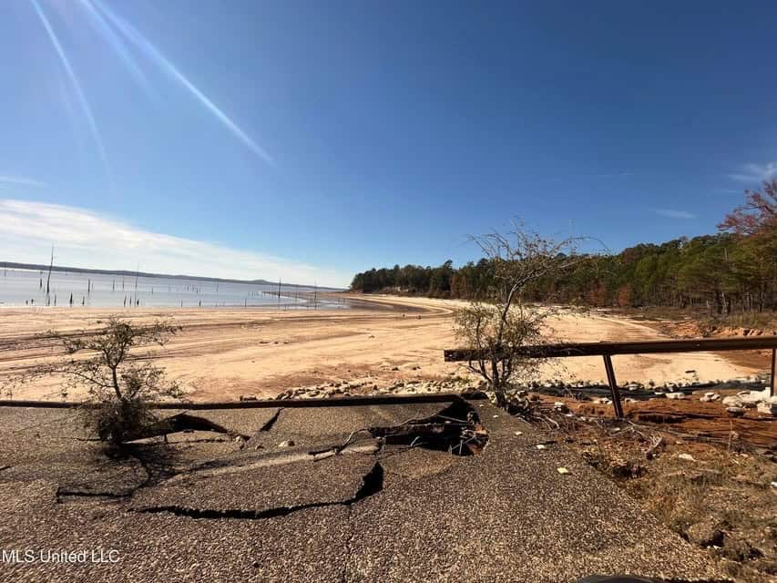 Carver Point Timber Tract in Grenada Co at Grenada Lake