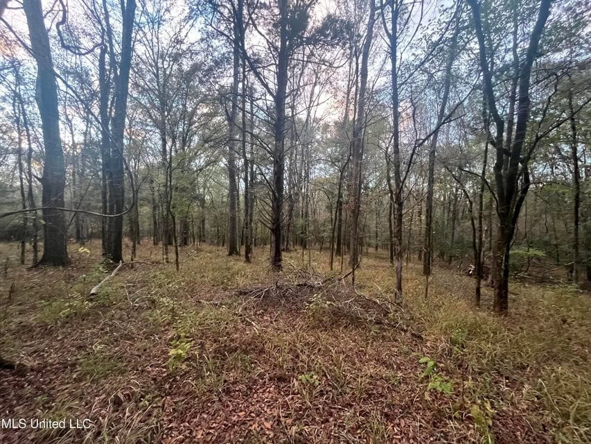 100 Acres of Prime Development or Country Homesite