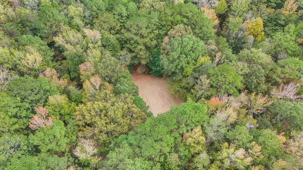 Legacy Property for Sale in Woodville, MS