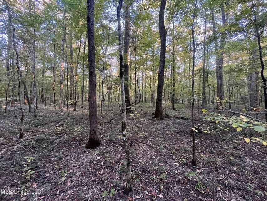 Great Hunting Tract in Bolton, MS for Sale