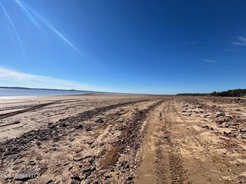 Carver Point Timber Tract in Grenada Co at Grenada Lake