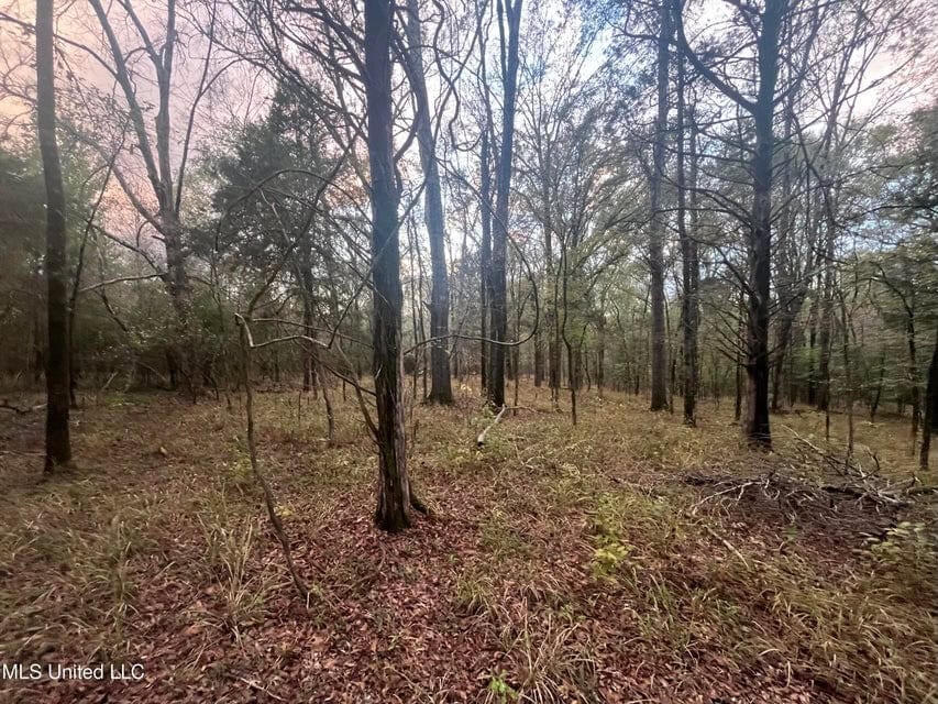 100 Acres of Prime Development or Country Homesite