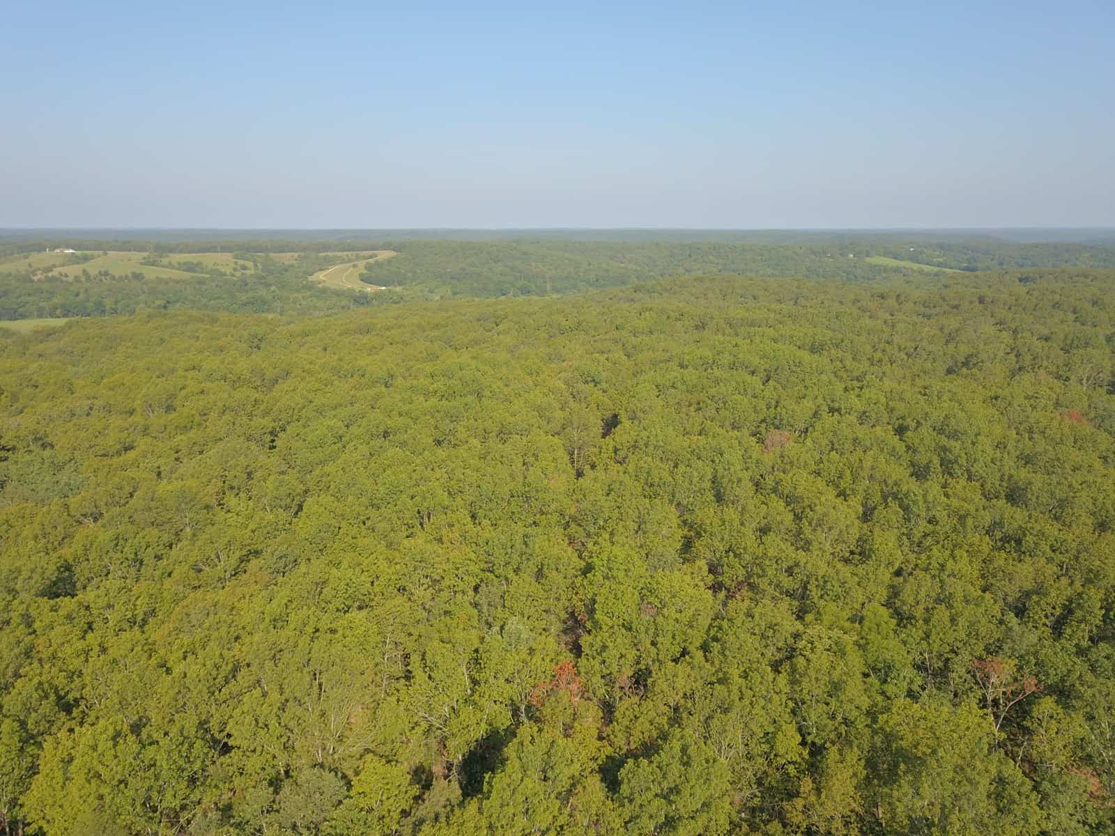 85 +/- acre property nestled on CR 4270 in Salem, MO!