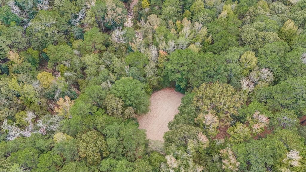 Legacy Property for Sale in Woodville, MS