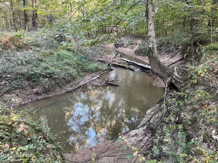 Great Hunting Tract in Bolton, MS for Sale