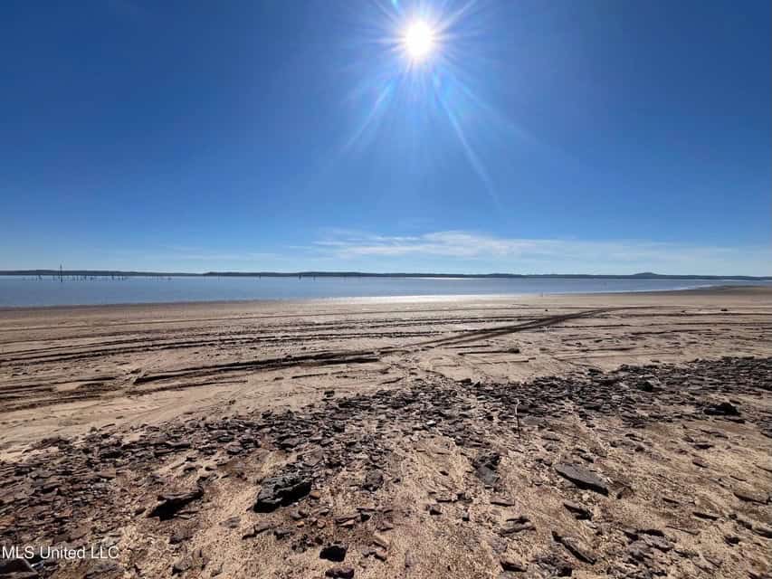 Carver Point Timber Tract in Grenada Co at Grenada Lake
