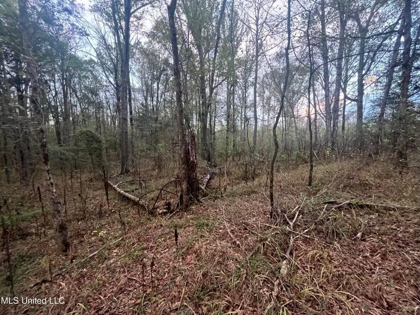 100 Acres of Prime Development or Country Homesite