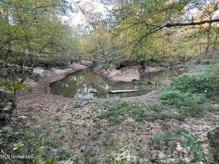 Great Hunting Tract in Bolton, MS for Sale