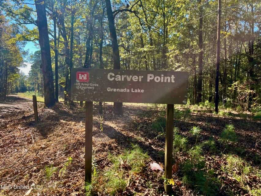 Carver Point Timber Tract in Grenada Co at Grenada Lake