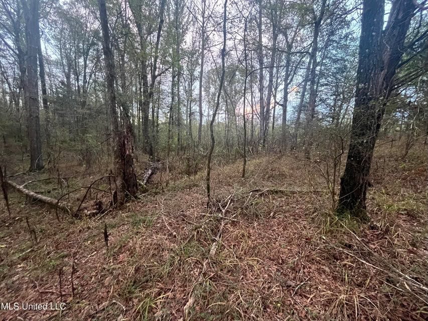 100 Acres of Prime Development or Country Homesite