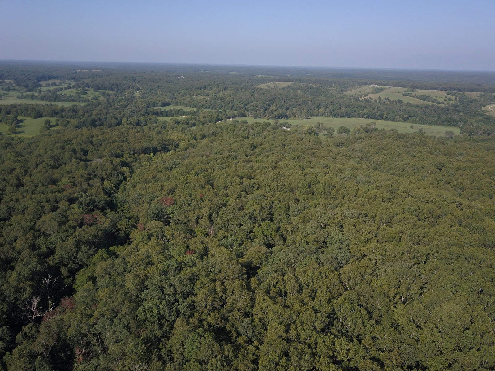 85 +/- acre property nestled on CR 4270 in Salem, MO!