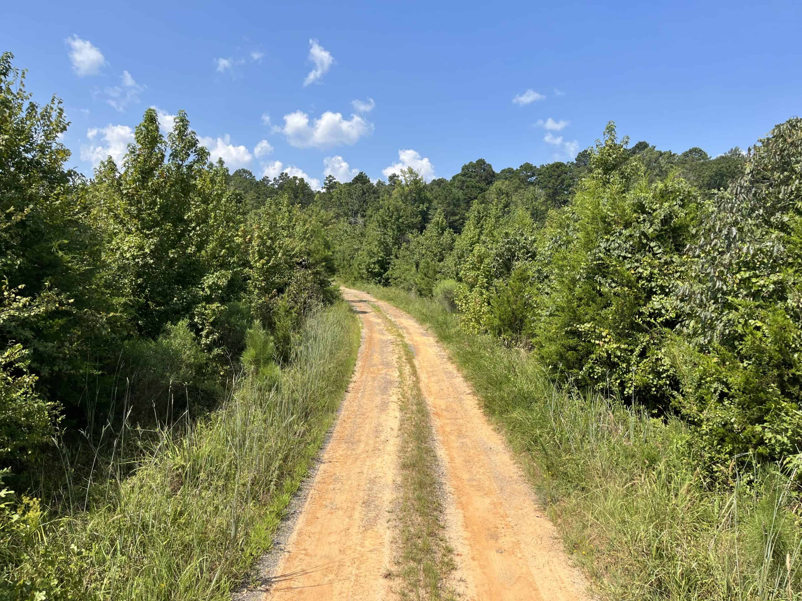 30+/- Acres for Sale Bienville, LA