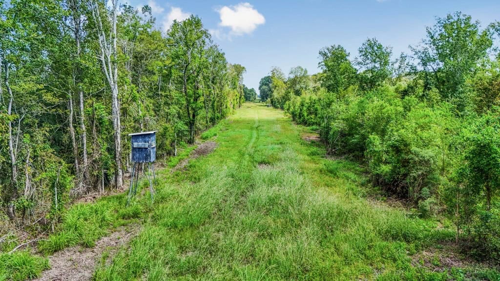 196 Acre Sportsman’s Paradise Pointe Coupee Parish, LA