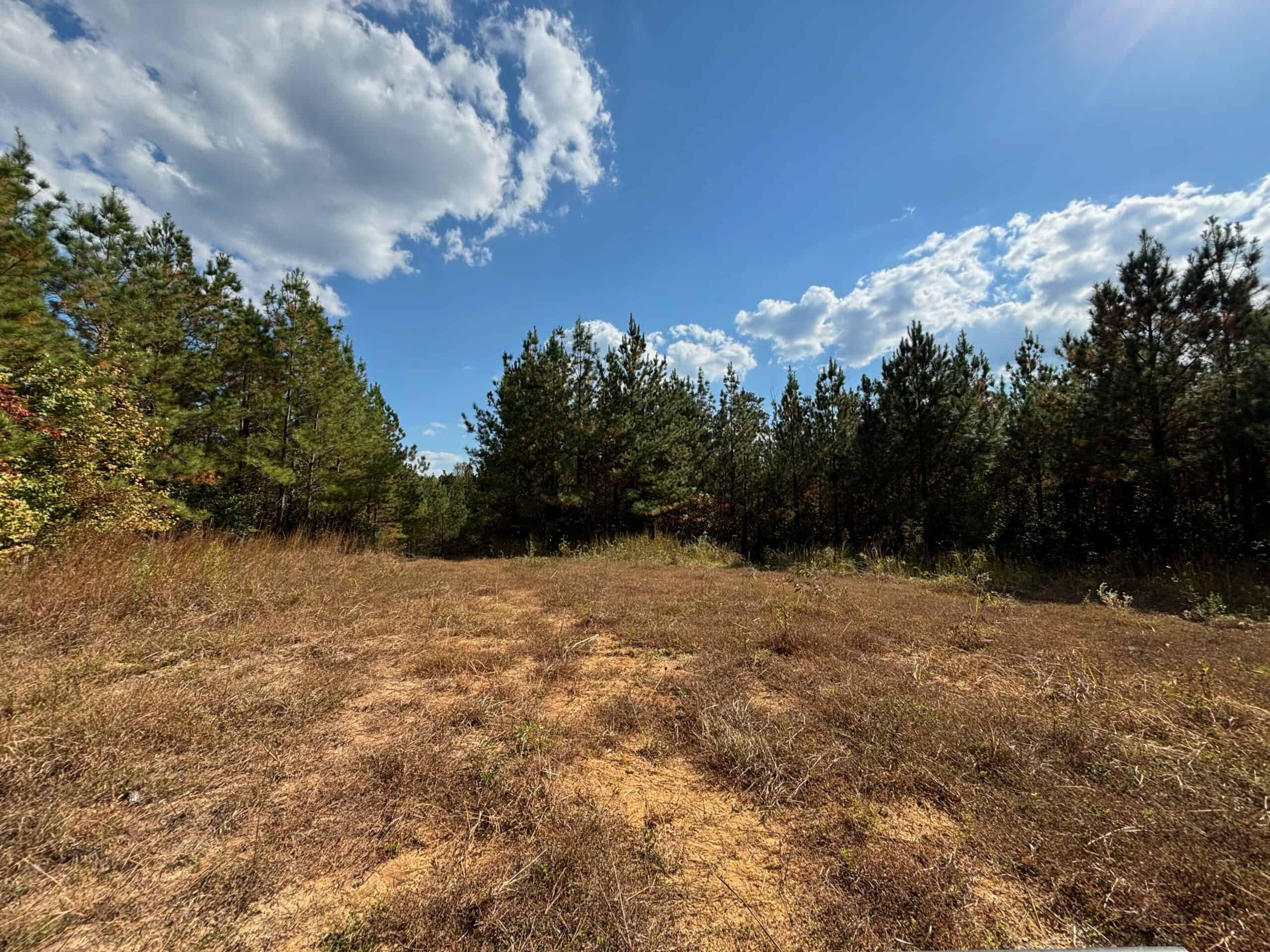 175 Acres Hunting and Timberland for Sale Franklin Co. MS