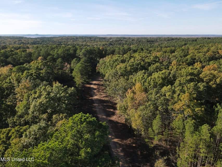 Carver Point Timber Tract in Grenada Co at Grenada Lake