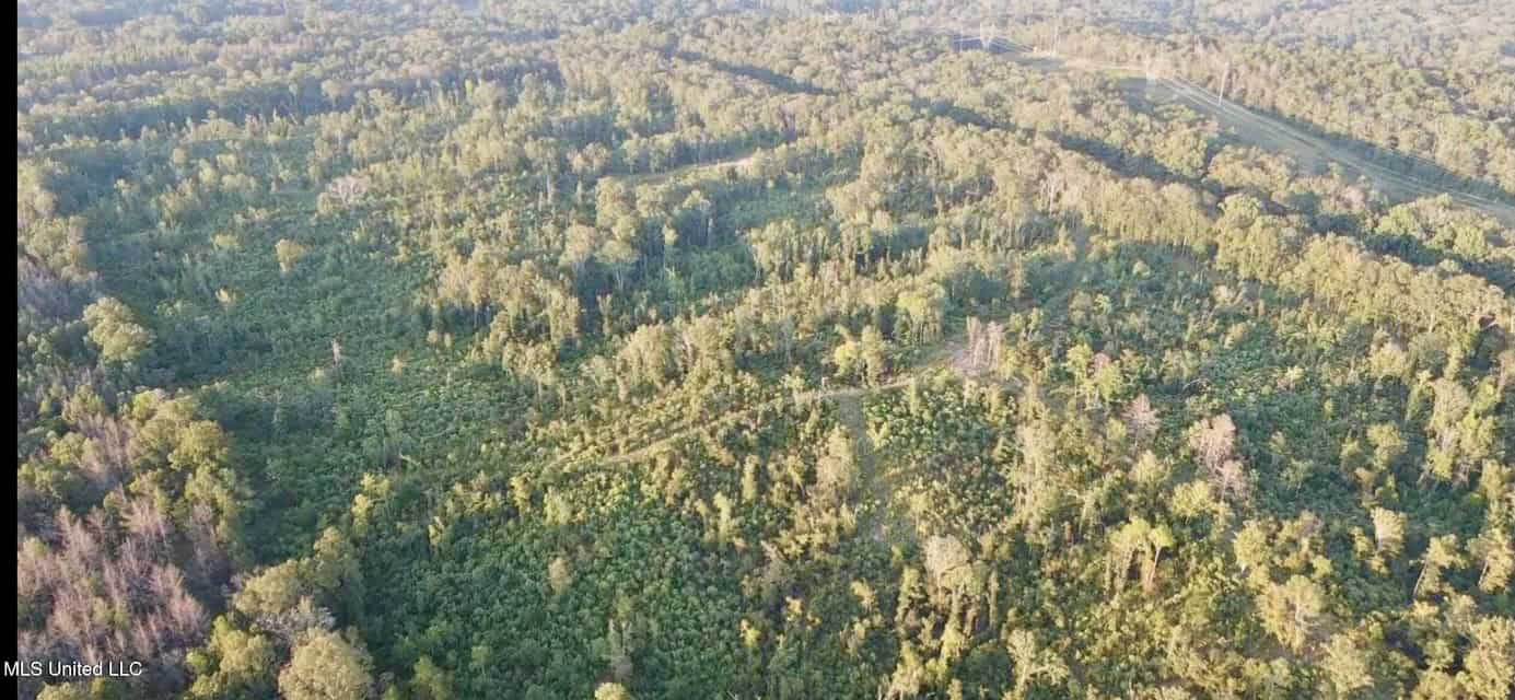 100 Acres of Prime Development or Country Homesite