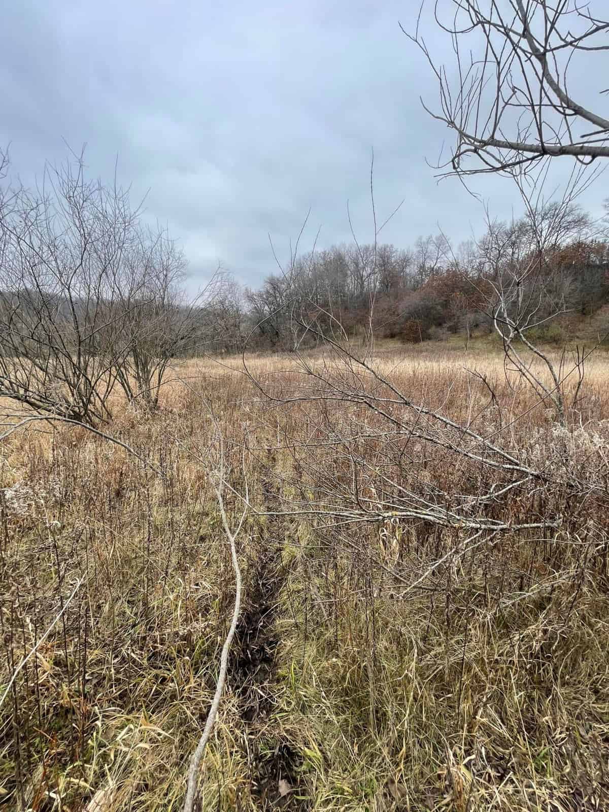 Monroe County Hunting Property 44+/- Acres