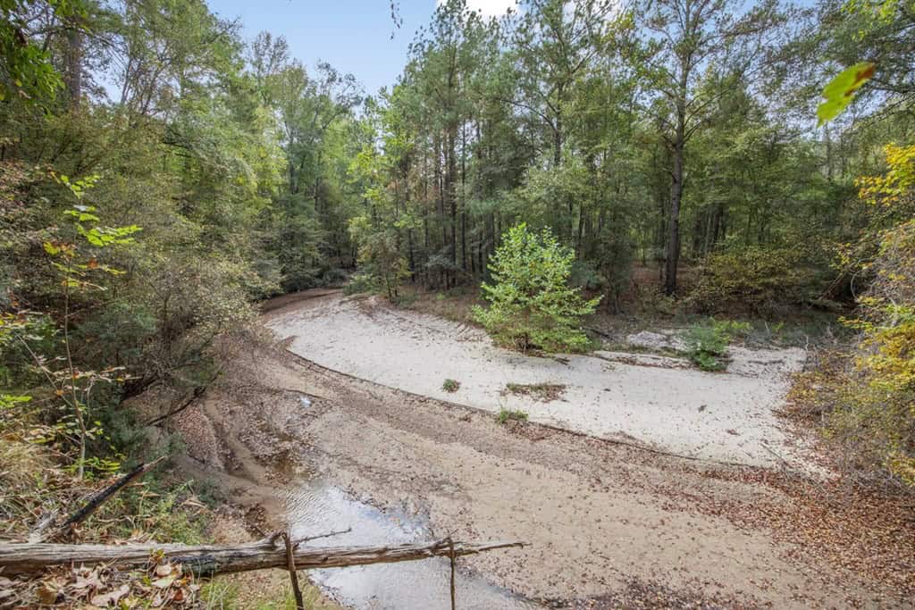 Legacy Property for Sale in Woodville, MS