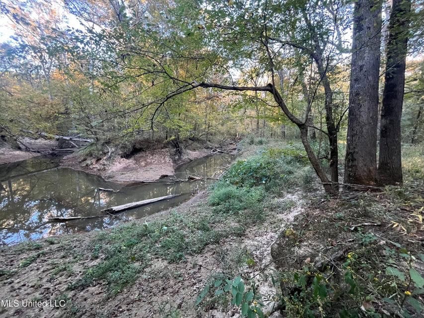 Great Hunting Tract in Bolton, MS for Sale
