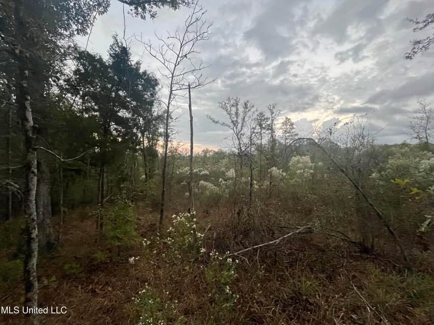 100 Acres of Prime Development or Country Homesite