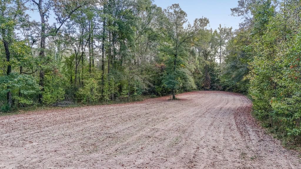 Legacy Property for Sale in Woodville, MS