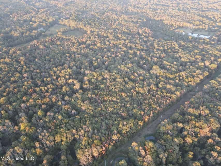 Great Hunting Tract in Bolton, MS for Sale