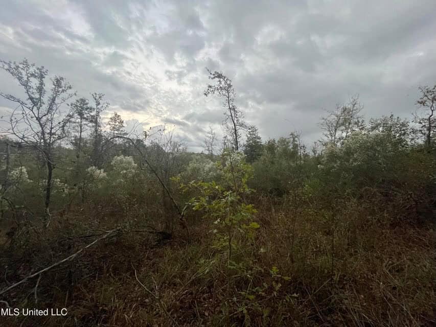 100 Acres of Prime Development or Country Homesite
