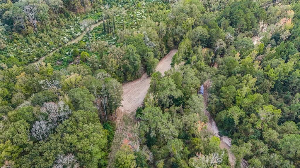Legacy Property for Sale in Woodville, MS