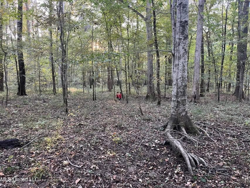 Great Hunting Tract in Bolton, MS for Sale