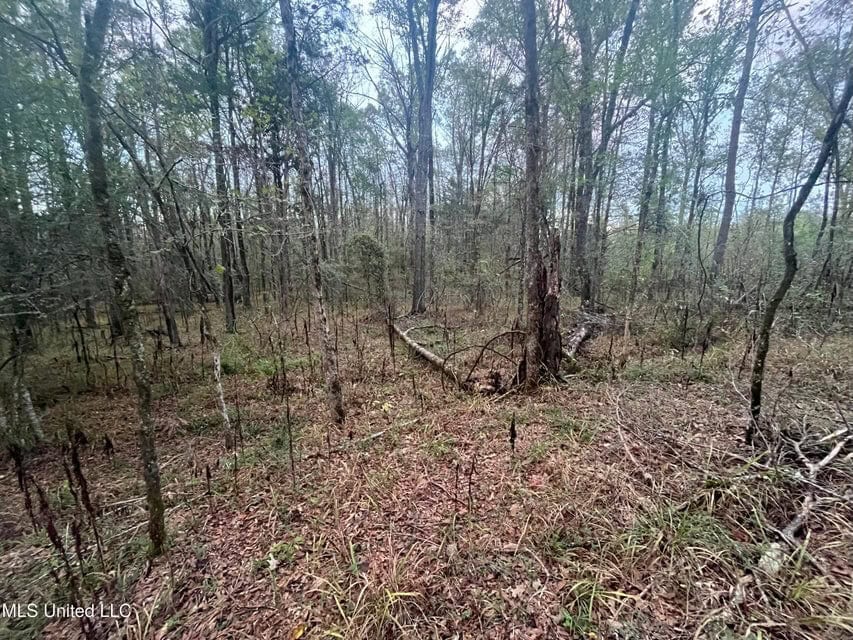 100 Acres of Prime Development or Country Homesite