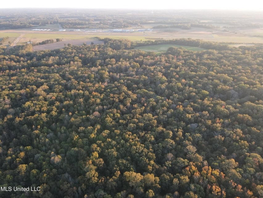 Great Hunting Tract in Bolton, MS for Sale
