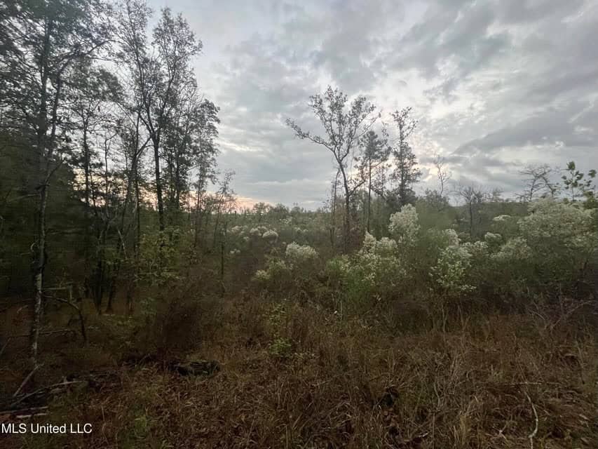 100 Acres of Prime Development or Country Homesite