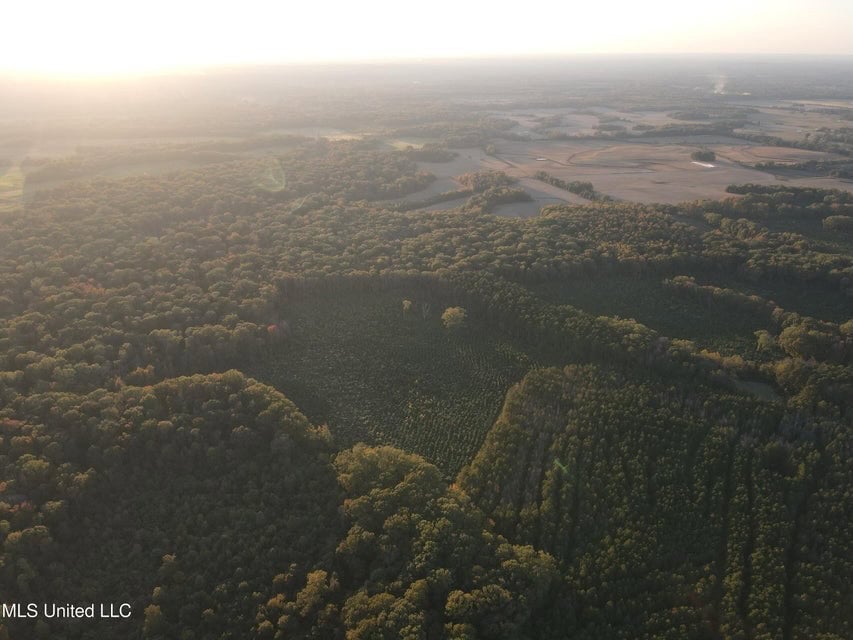 Great Hunting Tract in Bolton, MS for Sale