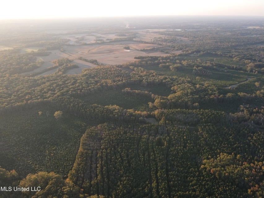Great Hunting Tract in Bolton, MS for Sale