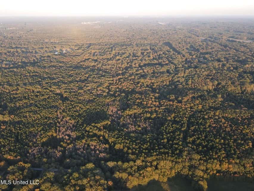 Great Hunting Tract in Bolton, MS for Sale