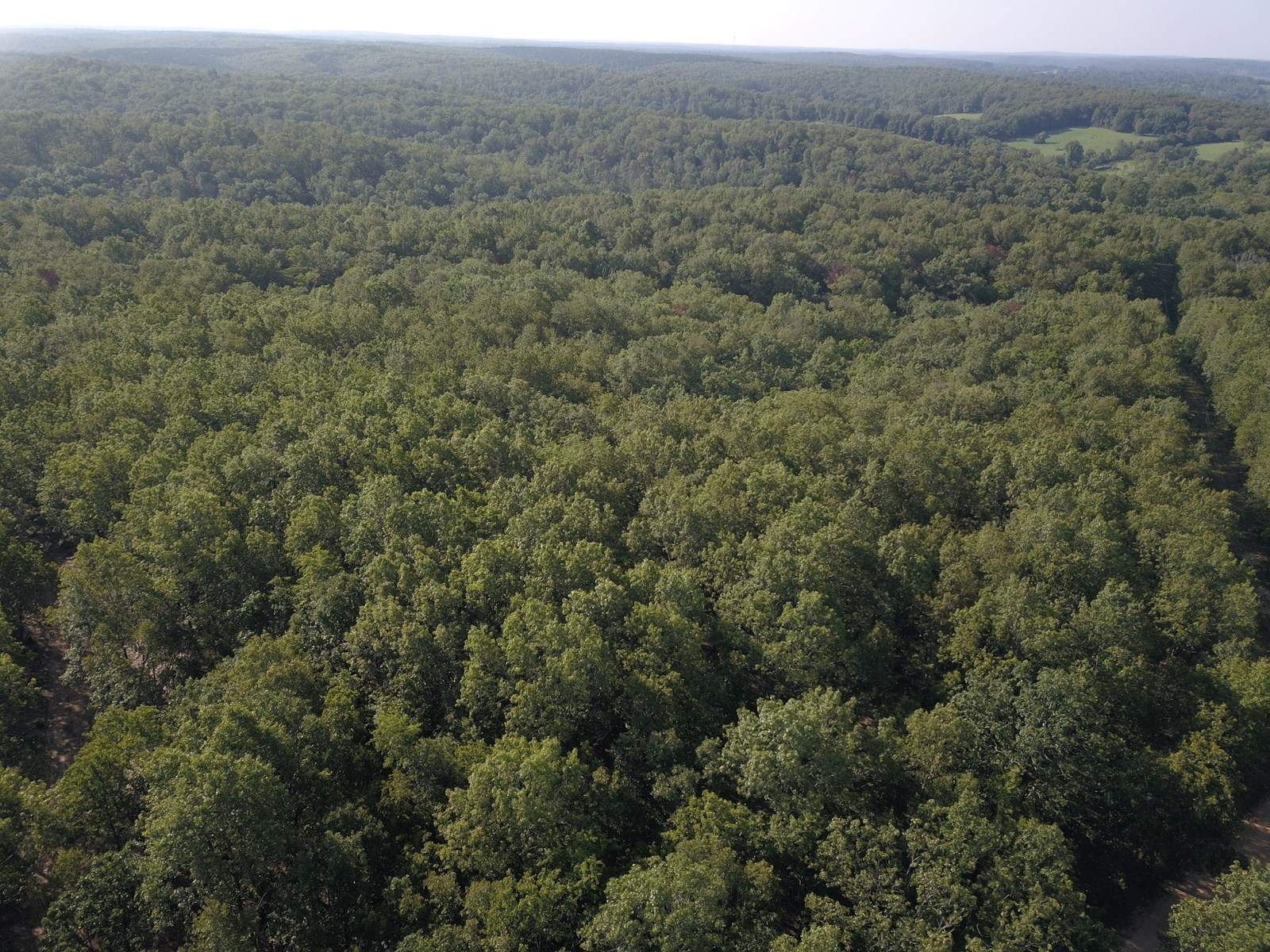 85 +/- acre property nestled on CR 4270 in Salem, MO!