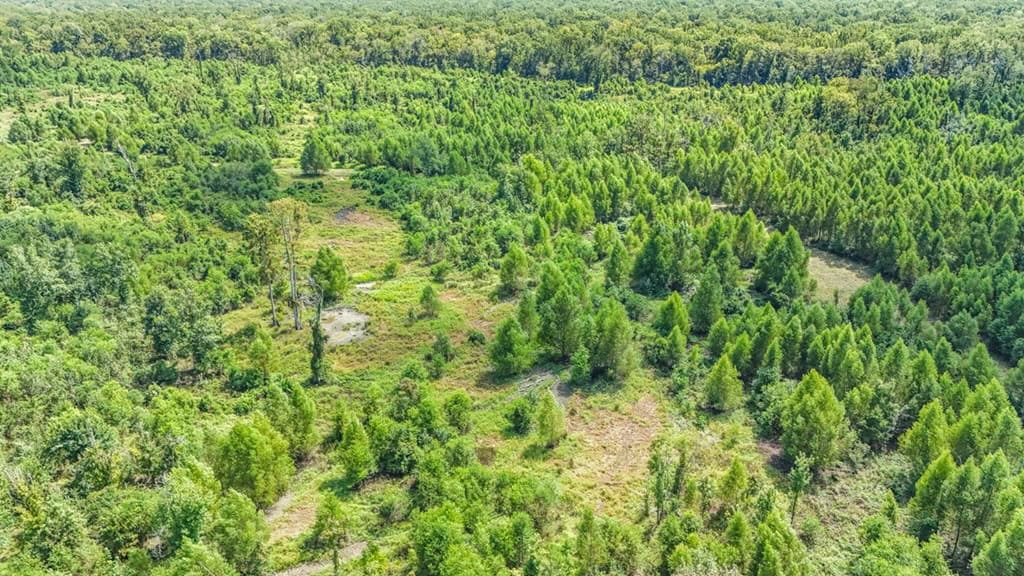 196 Acre Sportsman’s Paradise Pointe Coupee Parish, LA