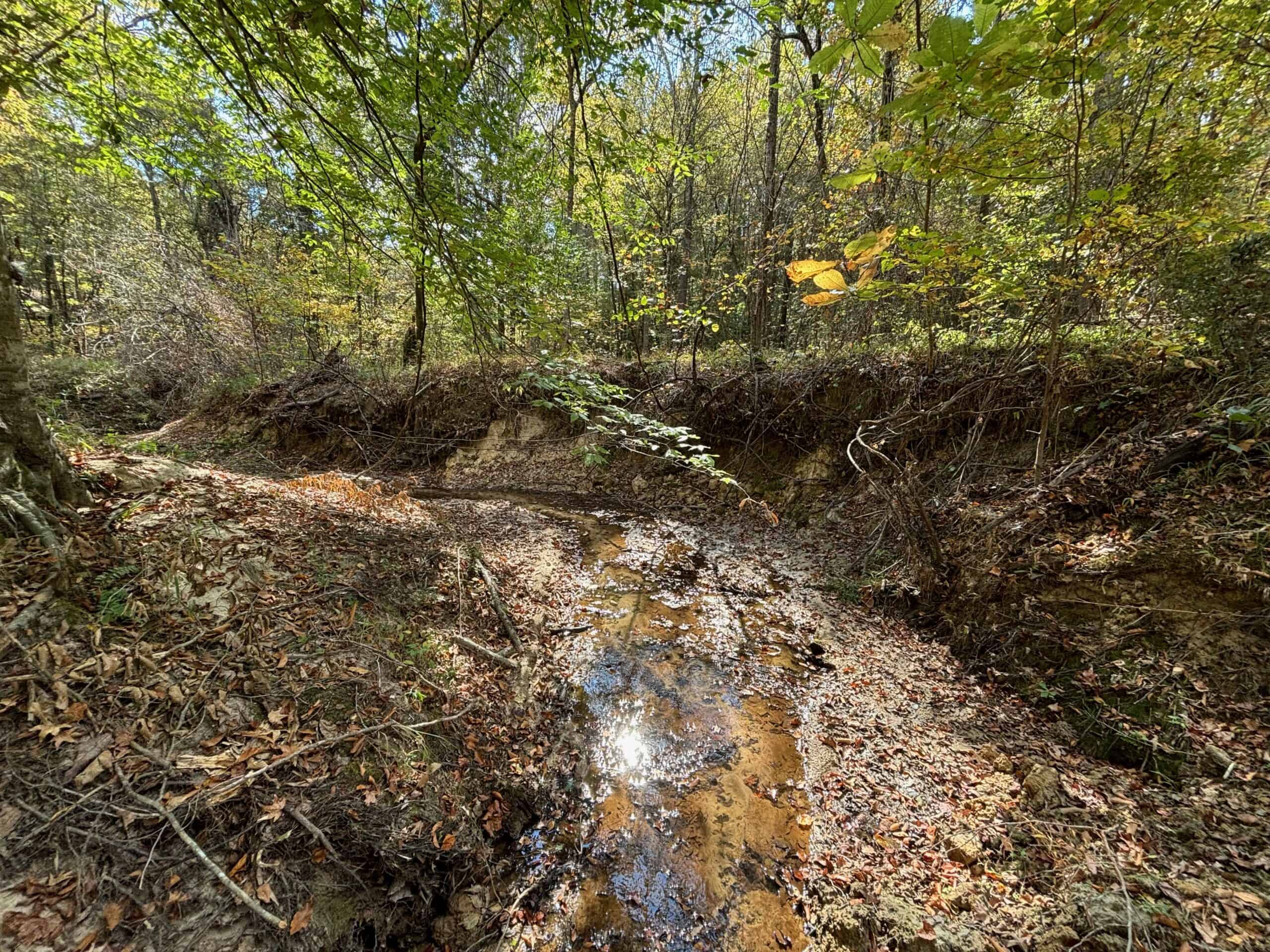 175 Acres Hunting and Timberland for Sale Franklin Co. MS