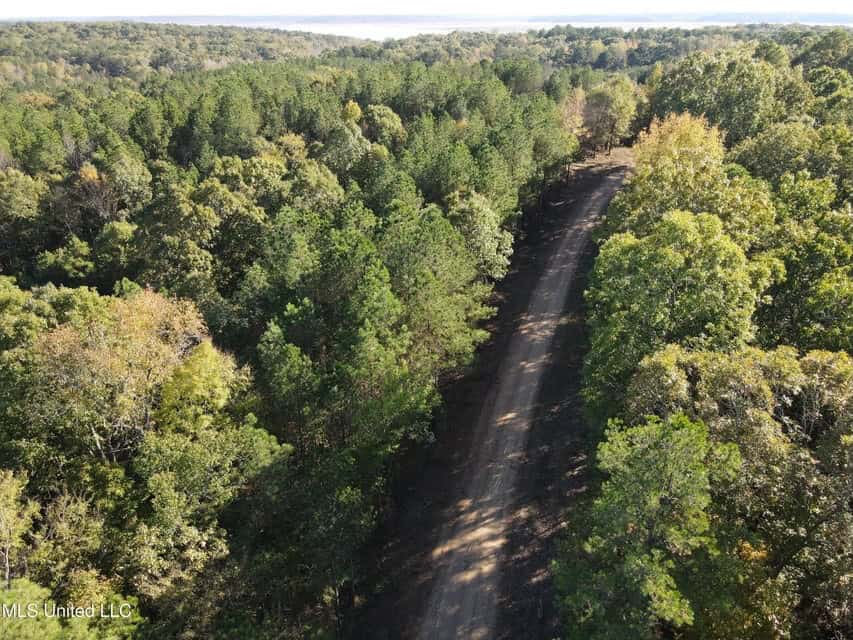 Carver Point Timber Tract in Grenada Co at Grenada Lake