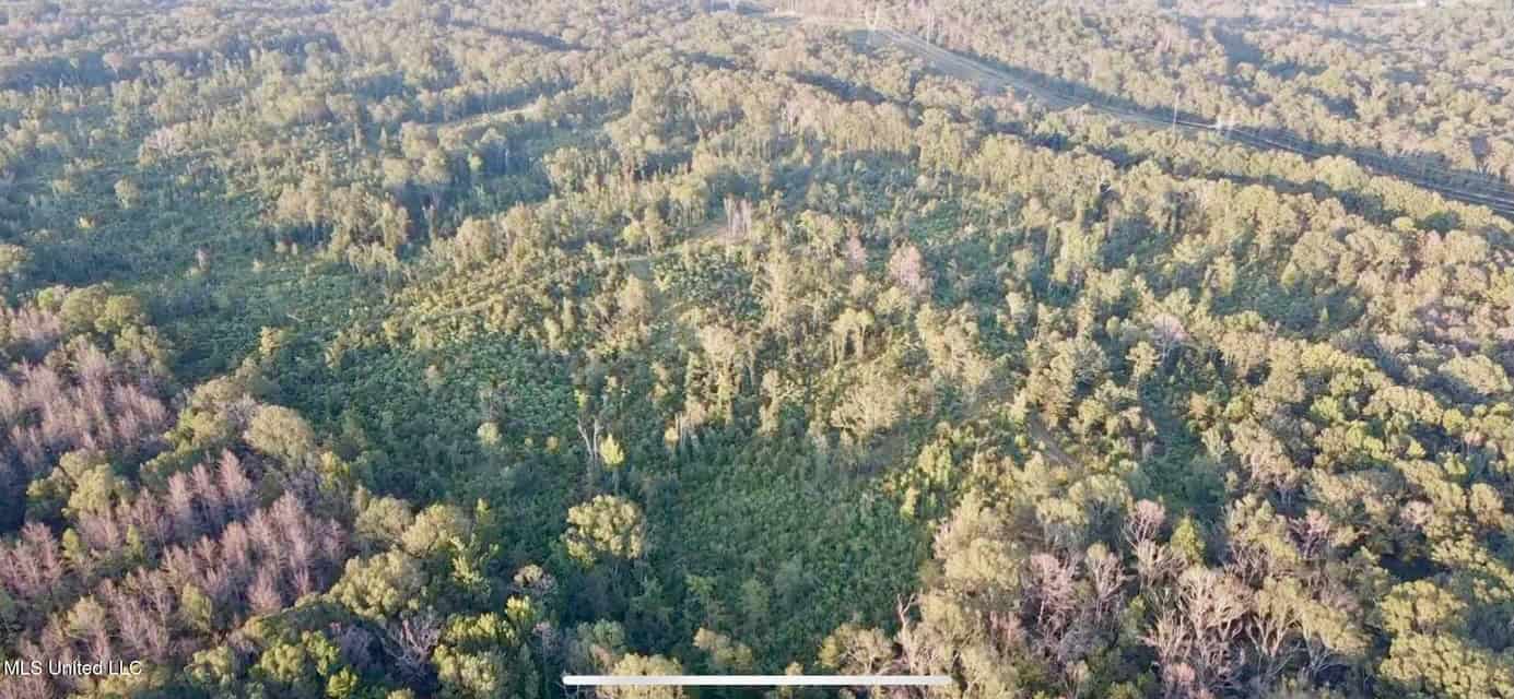 100 Acres of Prime Development or Country Homesite