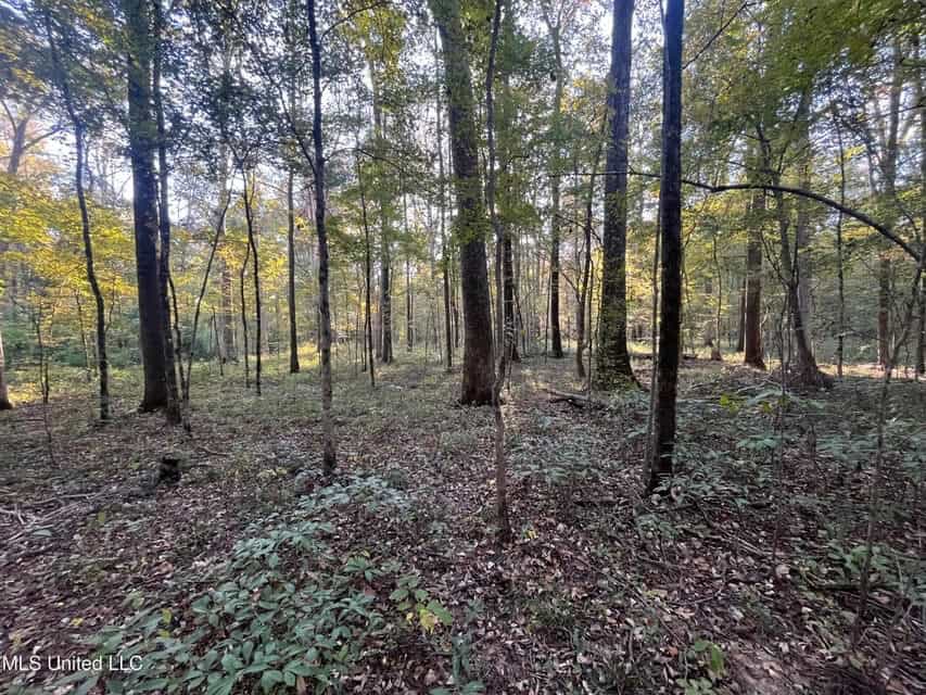 Great Hunting Tract in Bolton, MS for Sale