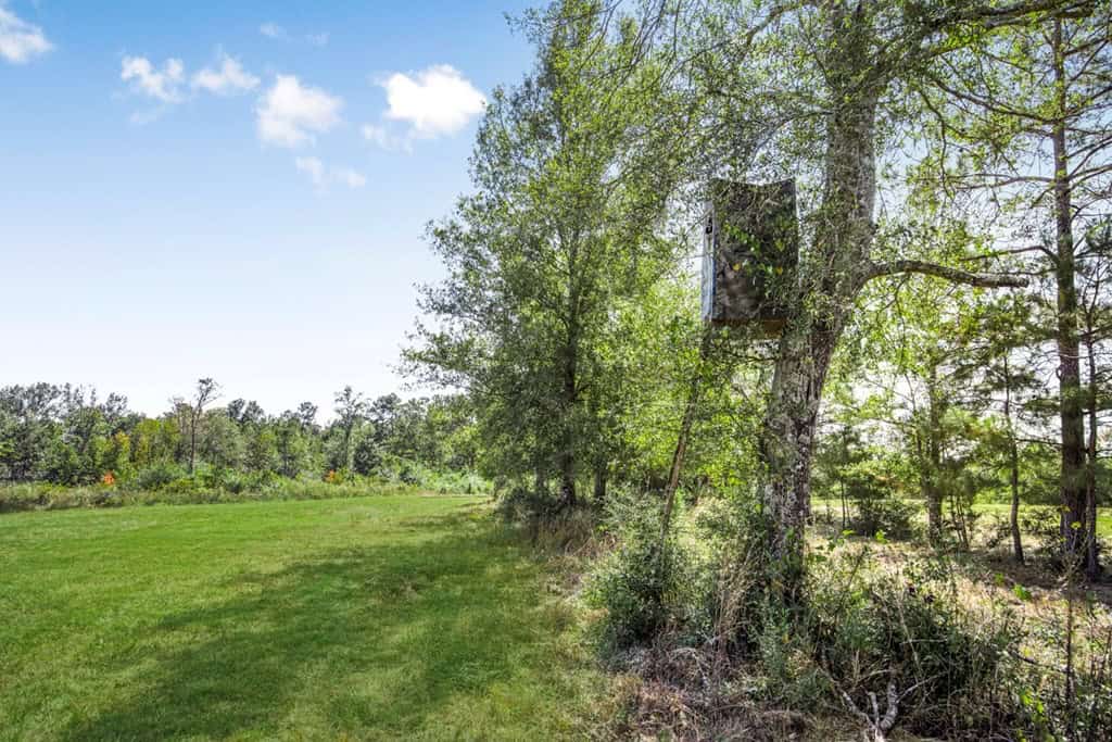 Affordable Land for Sale in Pike County, MS