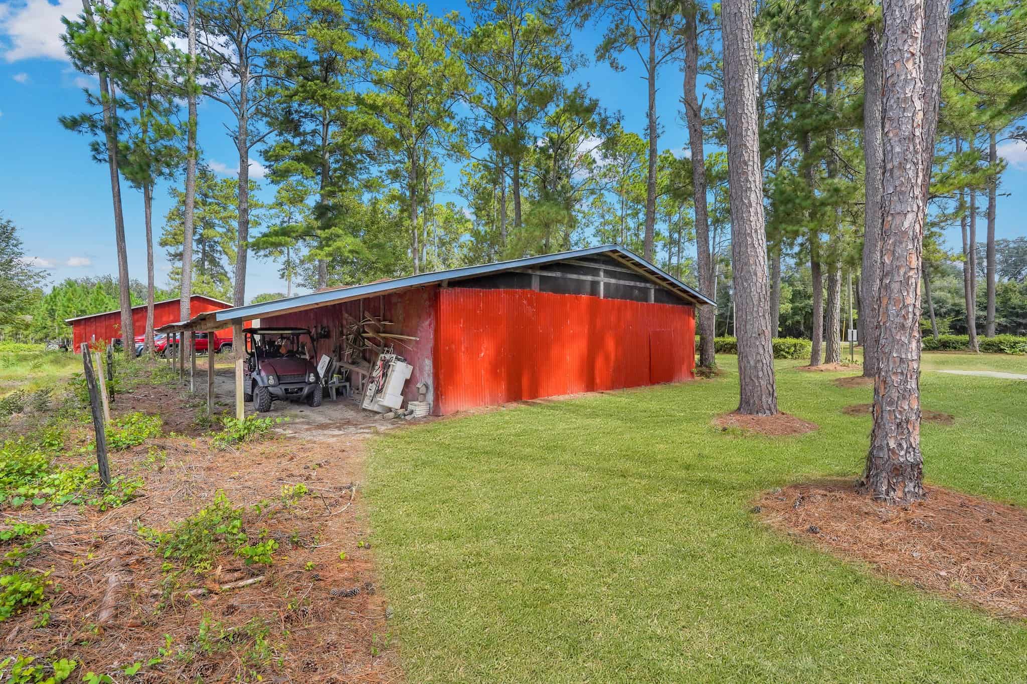 Woodpecker Trail Olive Farm for Sale