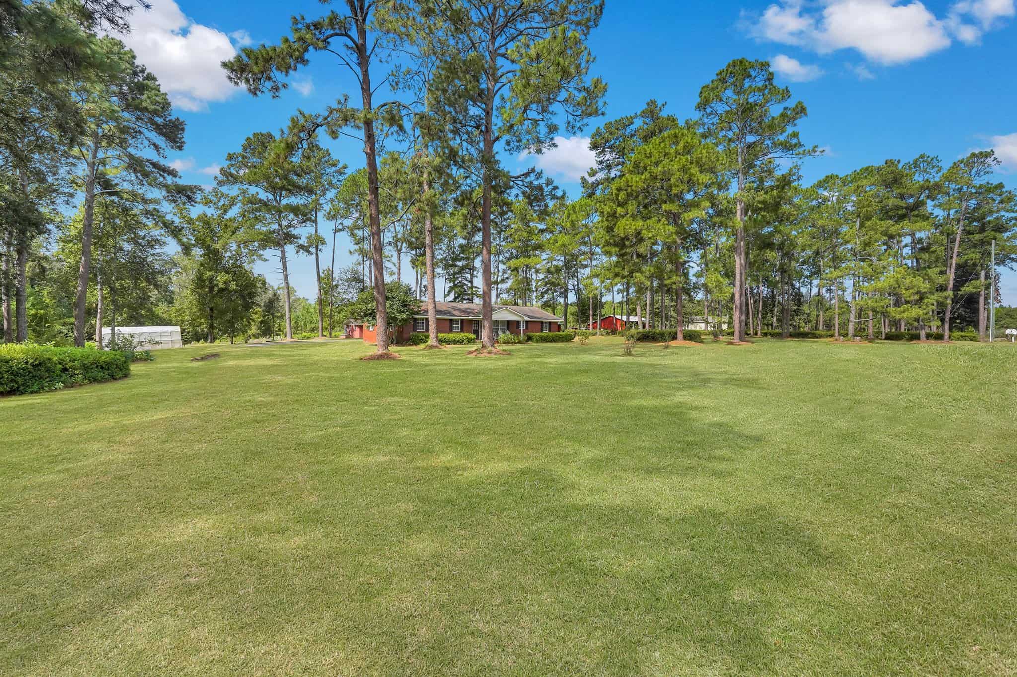 Woodpecker Trail Olive Farm for Sale