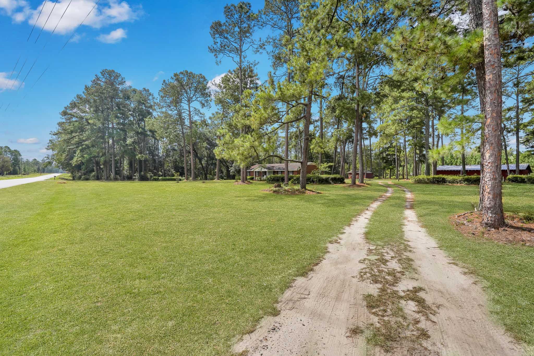 Woodpecker Trail Olive Farm for Sale