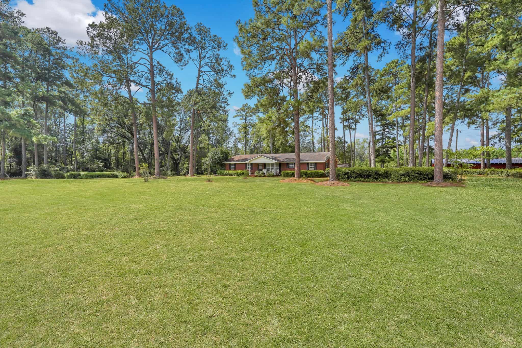 Woodpecker Trail Olive Farm for Sale