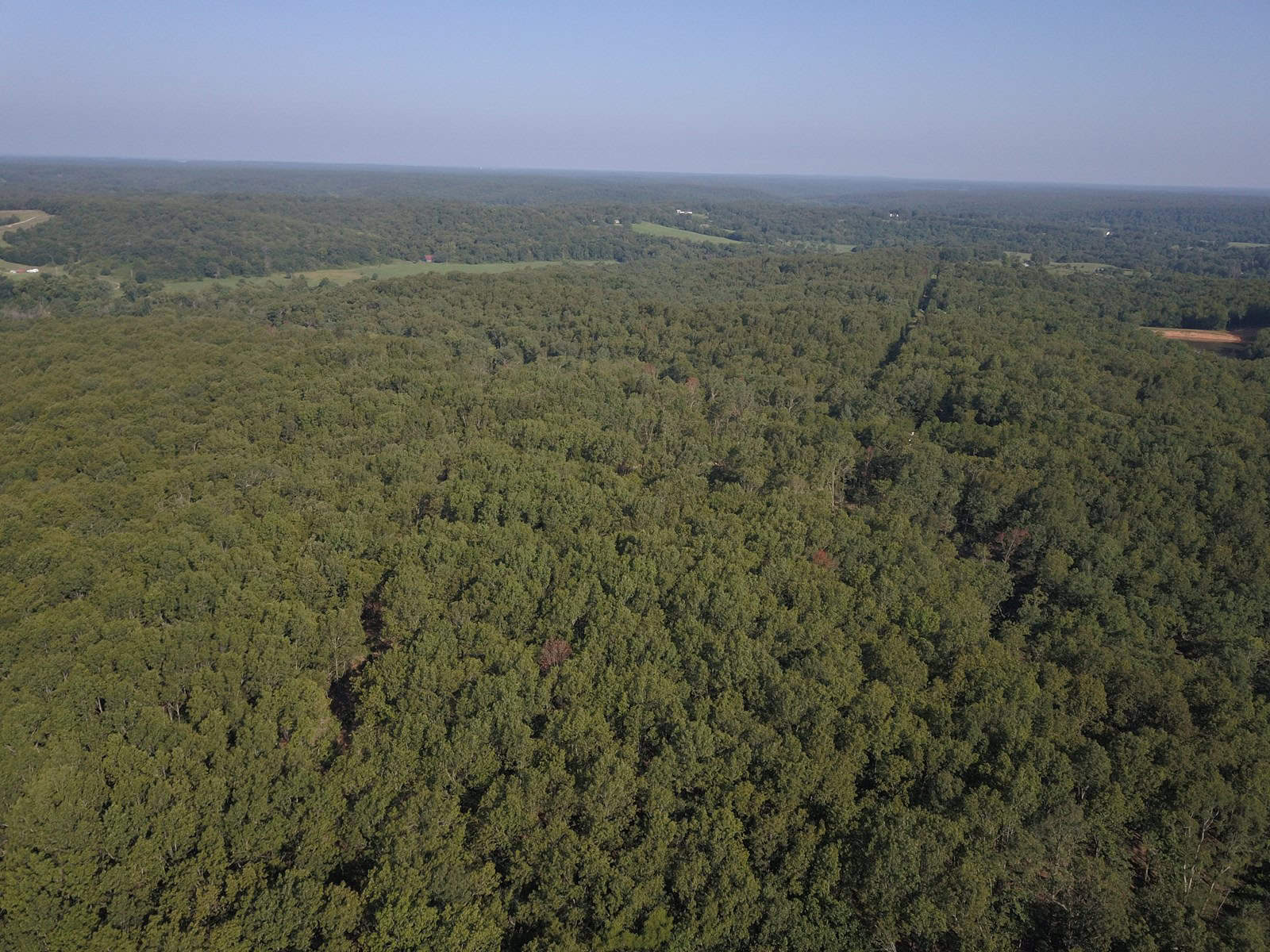 85 +/- acre property nestled on CR 4270 in Salem, MO!