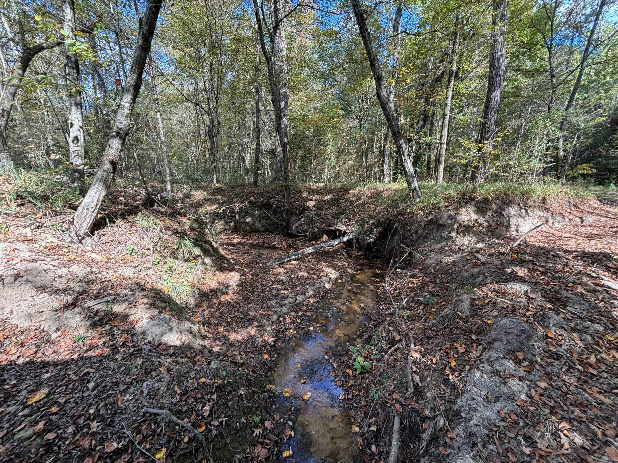 175 Acres Hunting and Timberland for Sale Franklin Co. MS